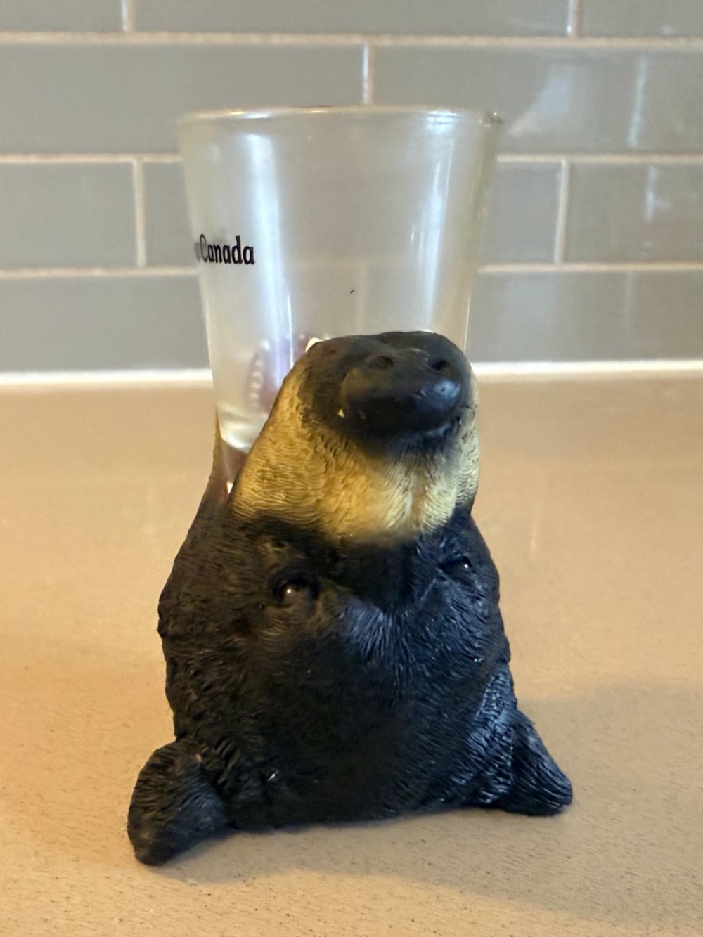 Novelty Black Bear Shot Glass Holder with Vancouver, Canada Glass - Picture 2 of 6